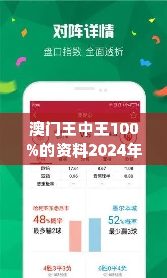 2024年新澳门王中王免费,富强解释解析落实