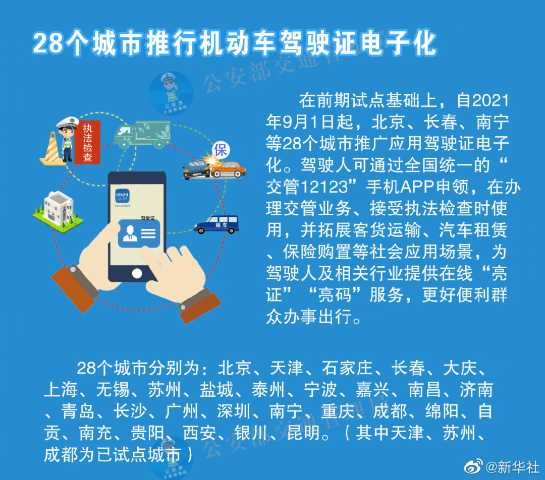 2024年澳门天天资料四不像,文明解释解析落实