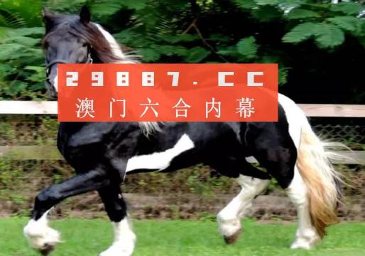 澳门香港一肖一码一中一特免费公开,最佳精选解释落实