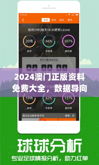 2024新澳正版免费资料的特点|精选资料解析大全