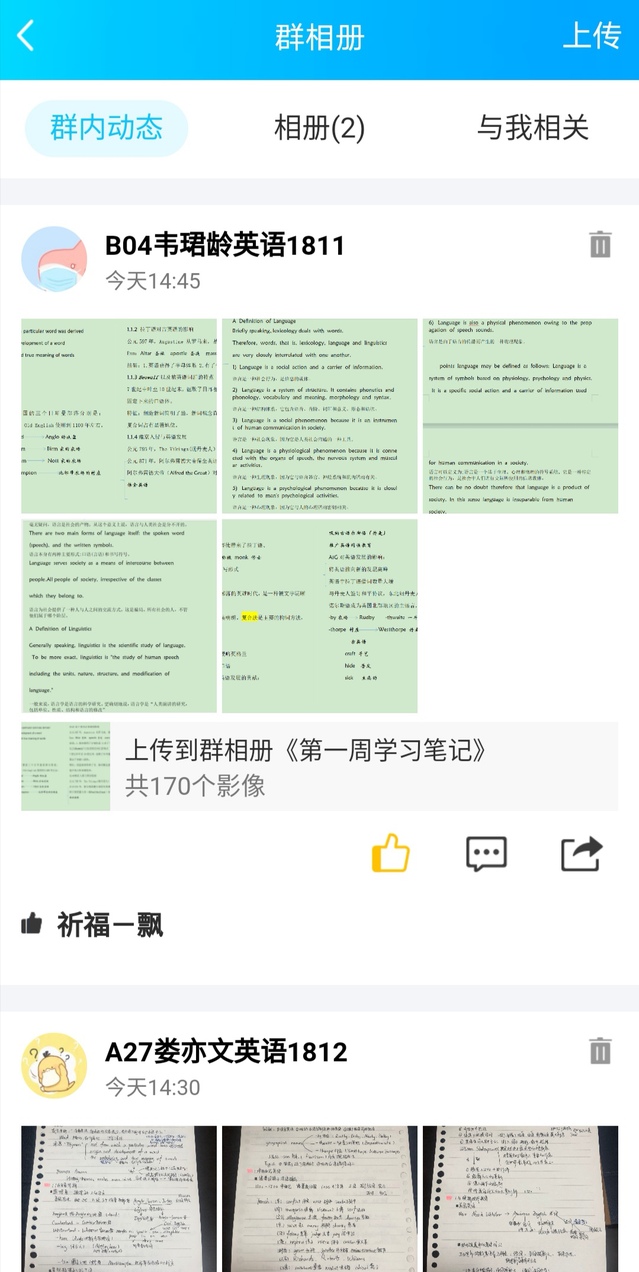 探索585148自学考试网，助力个人学习与成长的平台