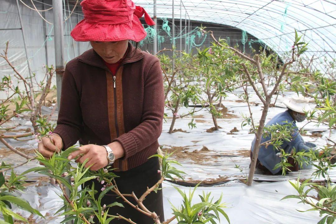 甘孜州招聘市场的新机遇，在58同城寻找理想职业